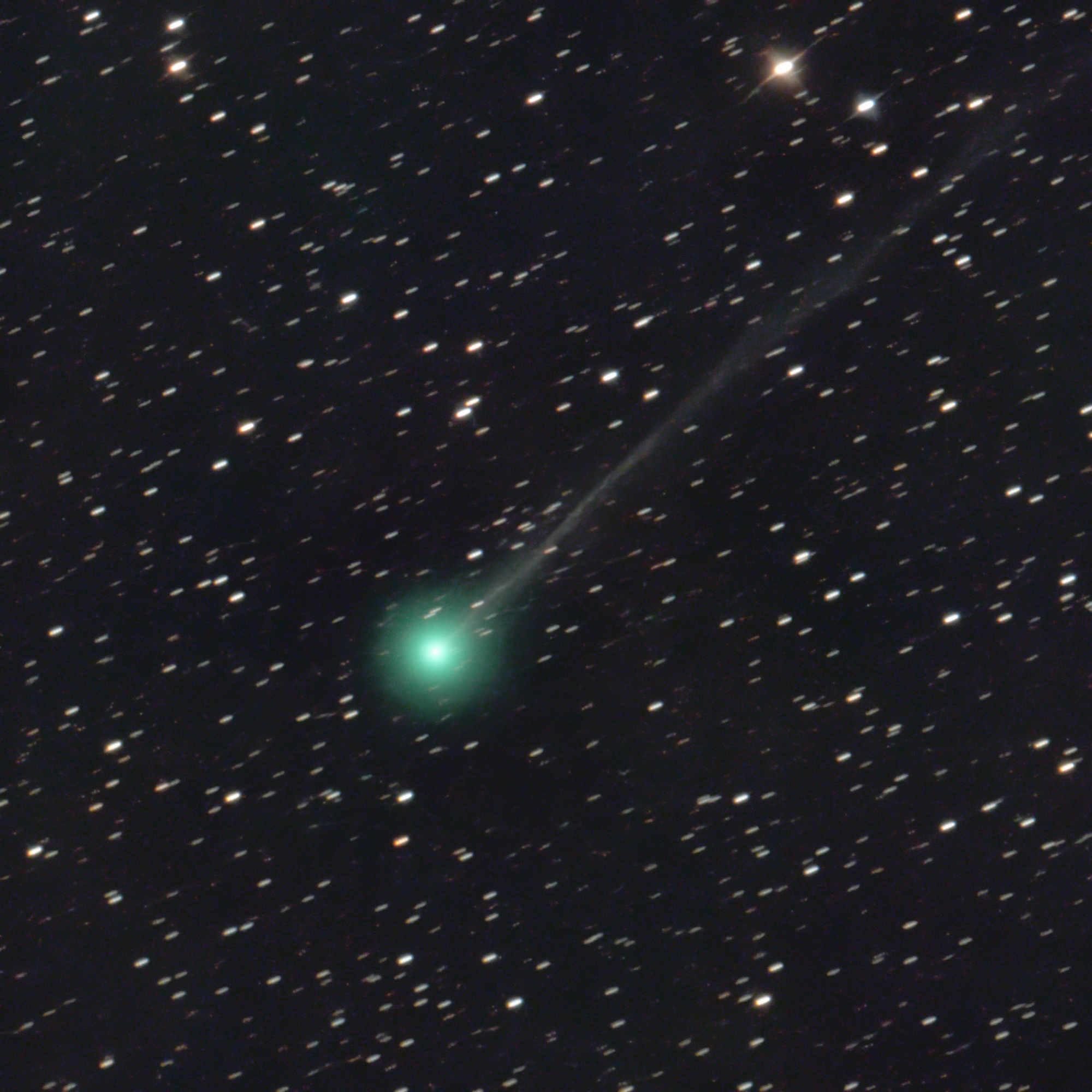 Comet C2023_P1_(Nishimura)